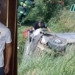 Agustín, a una semana del accidente: «Dios me dio una nueva oportunidad»