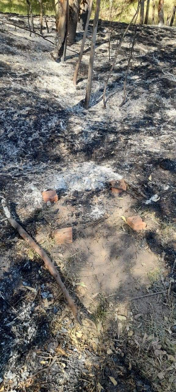 Prendieron fuego en el circuito de Andino y debieron intervenir los bomberos