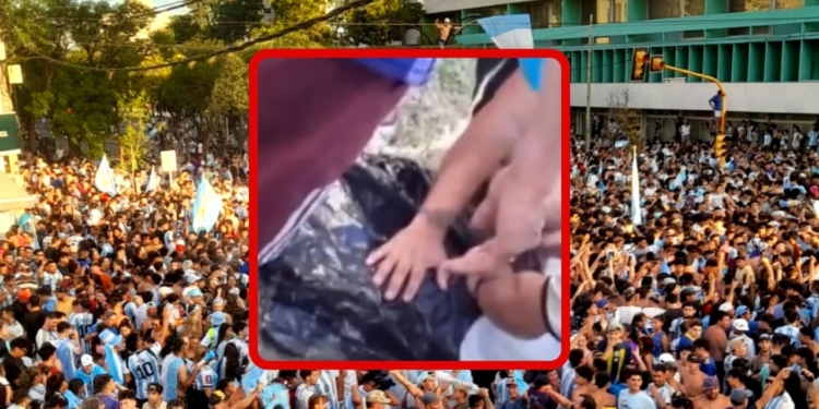 No a la pirotecnia: murió un perro por una bomba durante los festejos en San Lorenzo