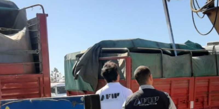 Timbúes: Afip desbarató maniobra de evasión con granos por 500 millones de pesos