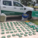 Decomisaron 70 kilos de hoja de coca en Totoras y 80 en autopista