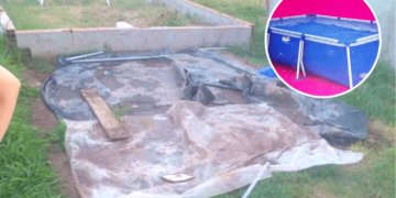 Le mataron el perro y le robaron la pileta del patio de su vivienda
