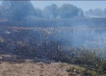 Timbúes: hacían un asado y se prendió fuego un campo cerca de una estación de servicio