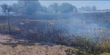 Timbúes: hacían un asado y se prendió fuego un campo cerca de una estación de servicio