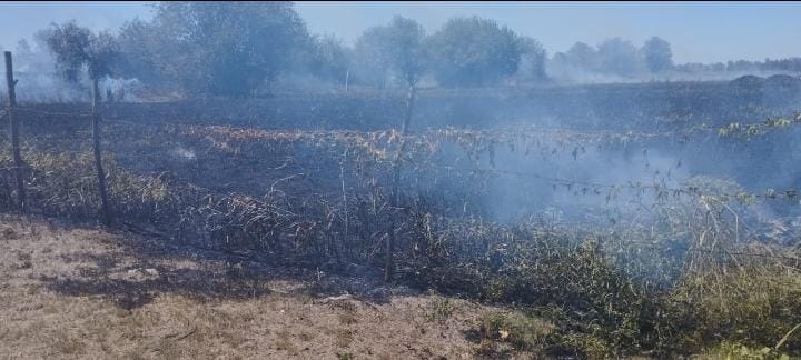Timbúes: hacían un asado y se prendió fuego un campo cerca de una estación de servicio