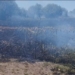 Timbúes: hacían un asado y se prendió fuego un campo cerca de una estación de servicio