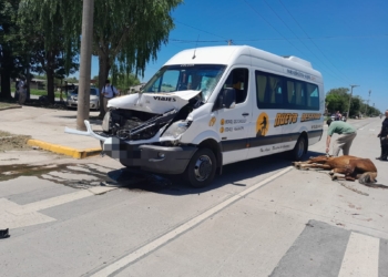 Un caballo suelto fue embestido por una trafic y murió
