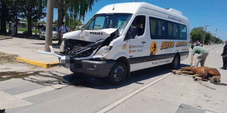 Un caballo suelto fue embestido por una trafic y murió