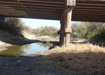 Encontraron huesos debajo de un puente de autopista y analizan si son humanos