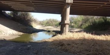 Encontraron huesos debajo de un puente de autopista y analizan si son humanos