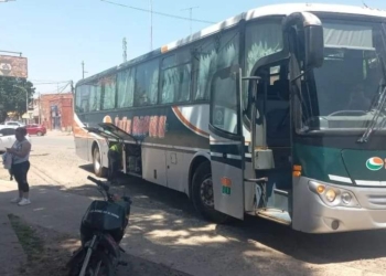 Tata Rápido y Guemes recortaron servicios en la región