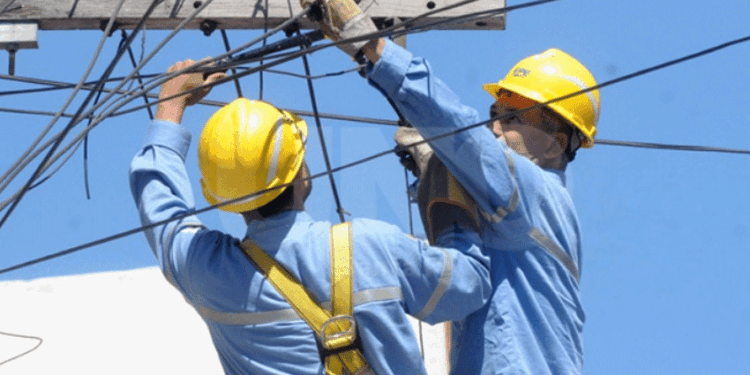 Renovarán 16 kilómetros de redes eléctricas en Bernardo de Irigoyen