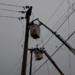El viento y un camión que enganchó un cable dejaron a Gaboto sin luz