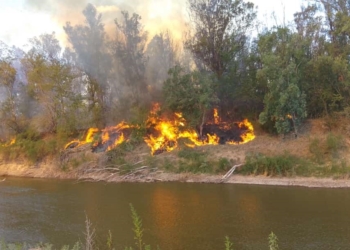 Lucha contra el fuego en Oliveros: arde el Área Natural Protegida del Río Carcarañá