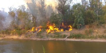 Lucha contra el fuego en Oliveros: arde el Área Natural Protegida del Río Carcarañá