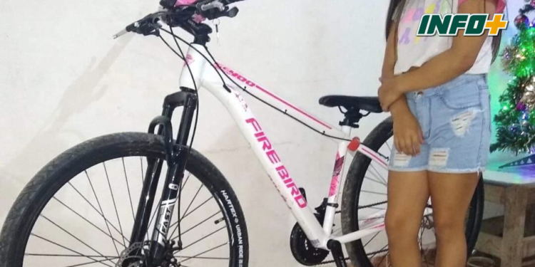 Hicieron caer a una nena de su bicicleta para robarla entre Timbúes y Aldao