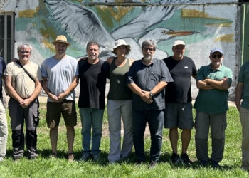 Tras dos años, retomaron las investigaciones arqueológicas en el Fuerte Sancti Spiritus de Gaboto