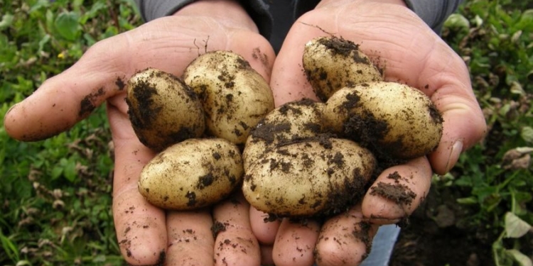 El CEA de San Genaro presentó sus cursos de capacitación para este 2023