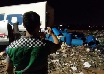 Decomisaron un camión que transportaba más de 16 mil kilos de achuras en mal estado