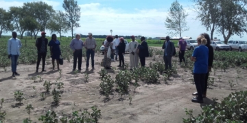 Una delegación de Camerún visitó el INTA de Oliveros