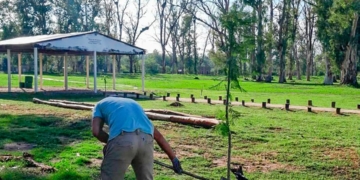 Avanza el plan de reforestación en Andino: ya se colocaron más de 70 especies nativas