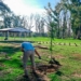 Avanza el plan de reforestación en Andino: ya se colocaron más de 70 especies nativas