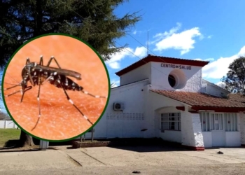 Barrancas: se activó protocolo por un caso de dengue