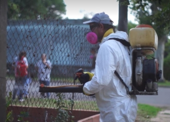 Dengue en Timbúes: un hombre internado y otros dos casos sospechosos