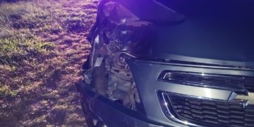Un auto chocó contra un novillo suelto sobre la ruta entre Gálvez y Loma Alta