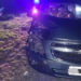 Un auto chocó contra un novillo suelto sobre la ruta entre Gálvez y Loma Alta