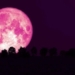 A mirar el cielo: la Luna Rosa se podrá observar el 6 de abril