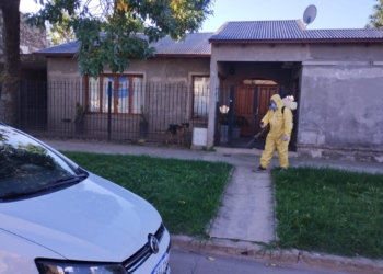 Dengue en la región: Maciel y Oliveros intensificaron la fumigación