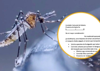 Ruiz pidió “medidas urgentes” para combatir el dengue en Gaboto