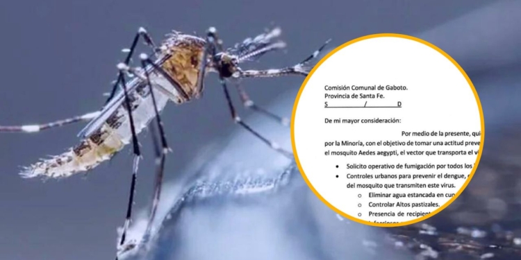 Ruiz pidió “medidas urgentes” para combatir el dengue en Gaboto
