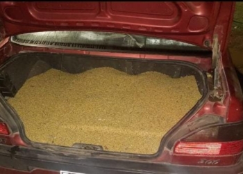 Un joven de Timbúes detenido tras el «boquilleo» de un camión