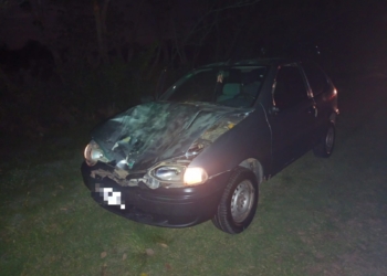 Una pareja de Barrancas embistió a un caballo suelto en Ruta 11