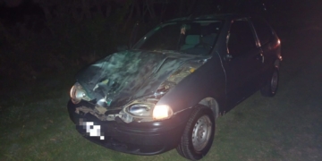 Una pareja de Barrancas embistió a un caballo suelto en Ruta 11