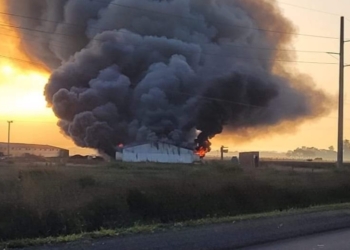 Ardió un galpón en Gálvez y murieron alrededor de 20 mil pollitos