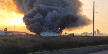 Ardió un galpón en Gálvez y murieron alrededor de 20 mil pollitos