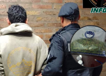Detuvieron a un joven en el techo de una casa con Cannabis Sativa 