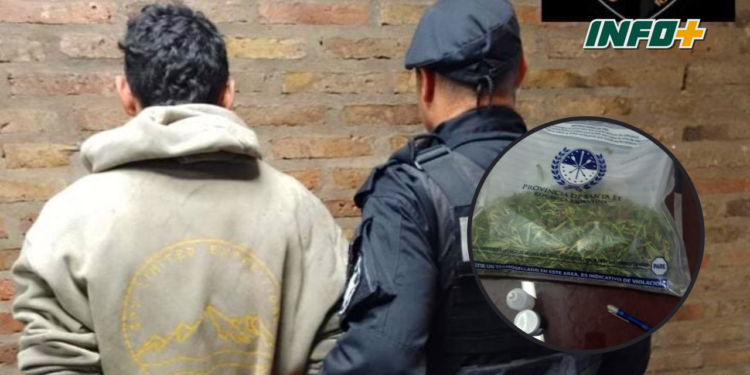 Detuvieron a un joven en el techo de una casa con Cannabis Sativa 