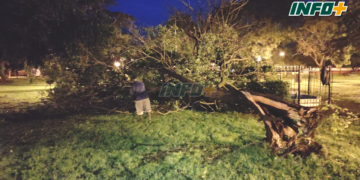 Gaboto: árboles caídos en la plaza, corte de cables y anegamientos por el temporal