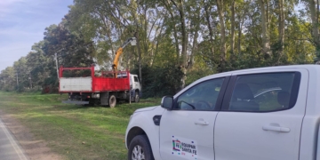 Finalizó la obra de la nueva línea de tendido eléctrico entre Gaboto y Maciel