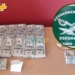 Viajaba de Totoras a Rosario con 168 mil dólares: lo detuvo Gendarmería
