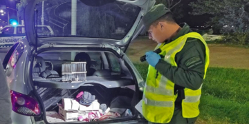 Control en el peaje de Timbúes: llevaba 51 aves silvestres en el baúl