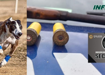 Desbarataron una carrera de galgos ilegal en Aldao: detuvieron a un joven