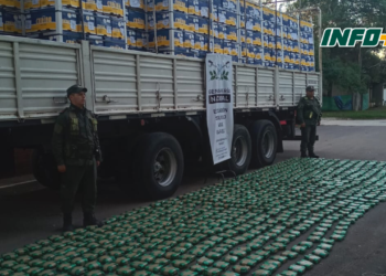 Trasladaba 200 kilos de hojas de coca escondidos en una carga de limones