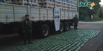 Trasladaba 200 kilos de hojas de coca escondidos en una carga de limones