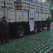 Trasladaba 200 kilos de hojas de coca escondidos en una carga de limones
