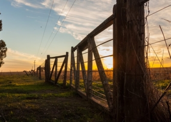 Un hombre denunció explotación laboral en un campo de Maciel